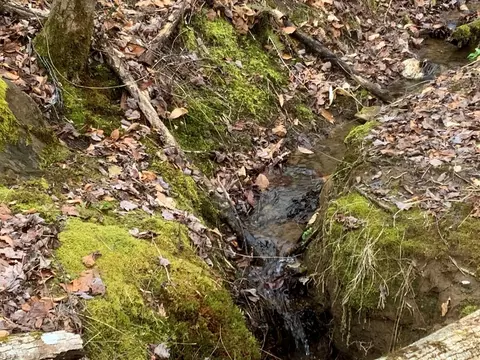 lot16 Ivy Log Rd, Murphy, NC 28906 photo 11