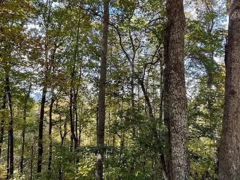 lot73 Hidden Treasure, Murphy, NC 28906 photo 18