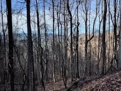 lot73 Hidden Treasure, Murphy, NC 28906 photo 15