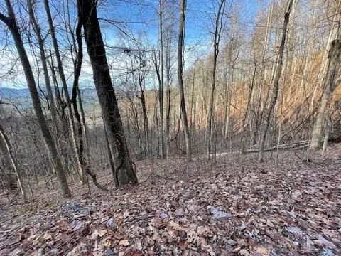 lot73 Hidden Treasure, Murphy, NC 28906 photo 4