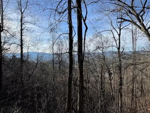 lot73 Hidden Treasure, Murphy, NC 28906 photo 3