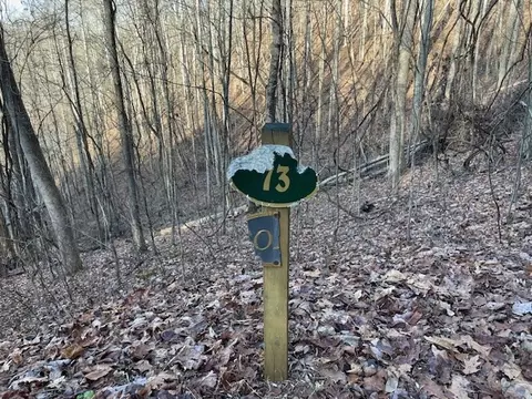 lot73 Hidden Treasure, Murphy, NC 28906 photo 9
