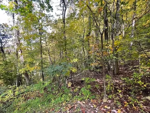 lot73 Hidden Treasure, Murphy, NC 28906 photo 22