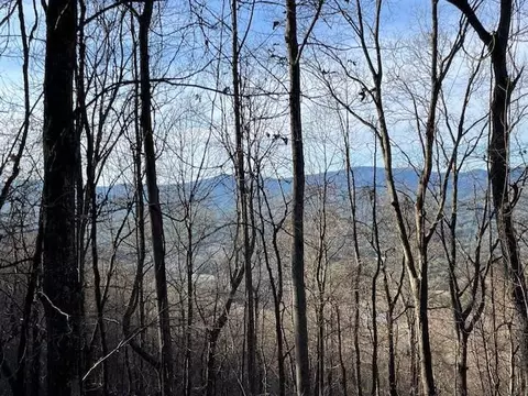lot73 Hidden Treasure, Murphy, NC 28906