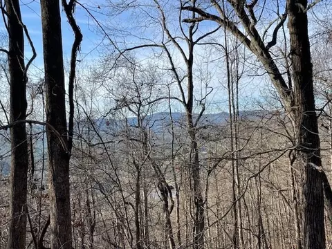 lot73 Hidden Treasure, Murphy, NC 28906 photo 10