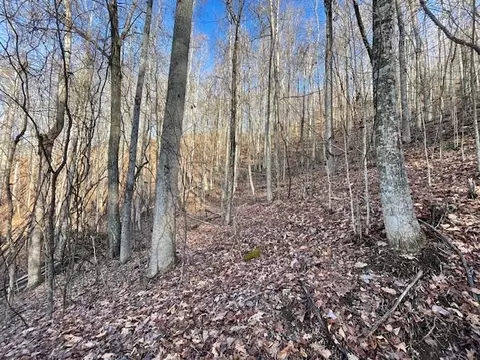 lot73 Hidden Treasure, Murphy, NC 28906 photo 6