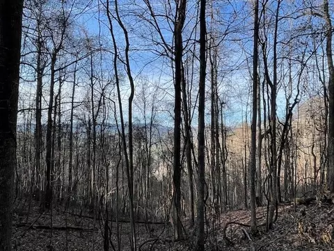 lot73 Hidden Treasure, Murphy, NC 28906 photo 14