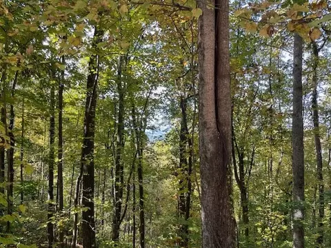 lot73 Hidden Treasure, Murphy, NC 28906 photo 25
