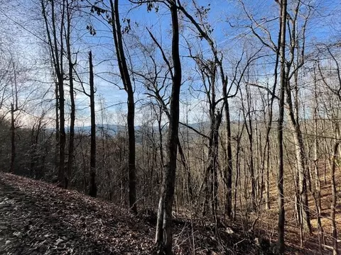 lot73 Hidden Treasure, Murphy, NC 28906 photo 11