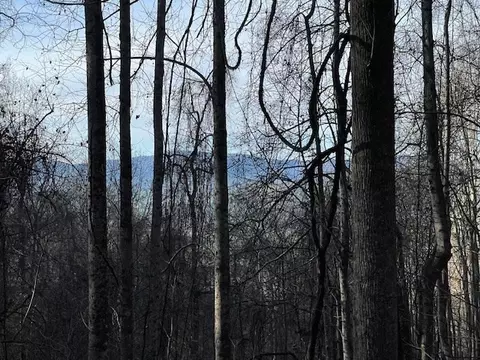 lot73 Hidden Treasure, Murphy, NC 28906 photo 16