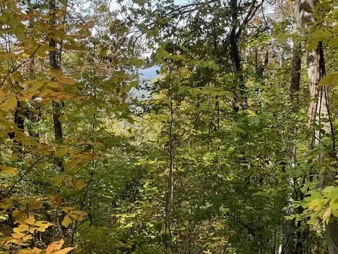 lot73 Hidden Treasure, Murphy, NC 28906 photo 21
