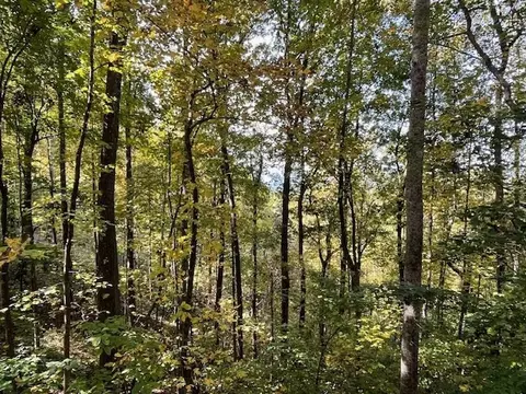 lot73 Hidden Treasure, Murphy, NC 28906 photo 20