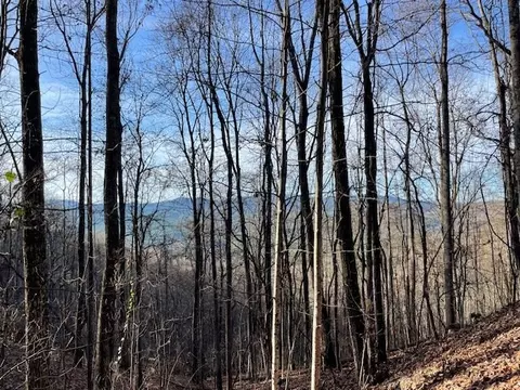 lot73 Hidden Treasure, Murphy, NC 28906 photo 12