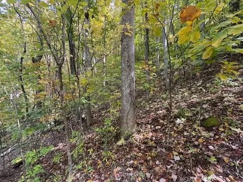 lot73 Hidden Treasure, Murphy, NC 28906 photo 26