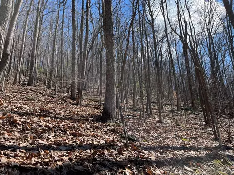 tbd Treehouse Trl, Murphy, NC 28906 photo 4