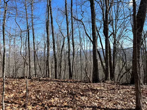 tbd Treehouse Trl, Murphy, NC 28906 photo 8