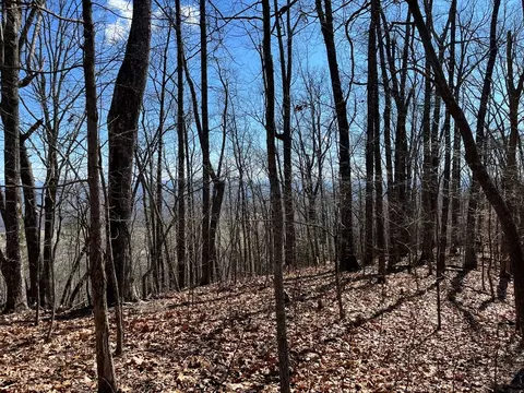 tbd Treehouse Trl, Murphy, NC 28906 photo 9