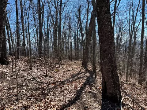 tbd Treehouse Trl, Murphy, NC 28906 photo 6