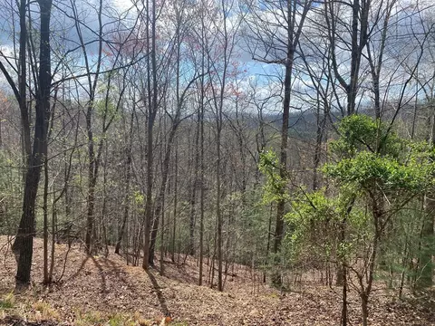 lot62 Jitterbug Ln, Murphy, NC 28906 photo 2