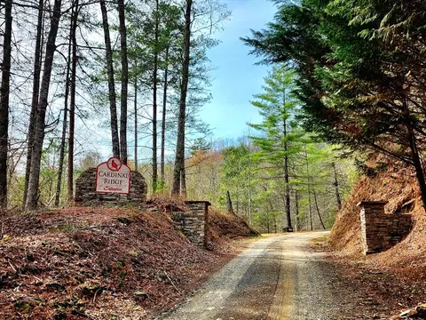 L46 Warbler Road, Murphy, NC 28906 photo 3