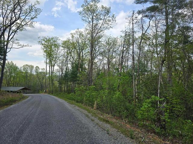 lot10 Kennedys Ct, Blairsville, GA 30512