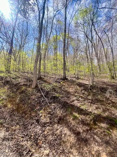 00 Gunter Holw, Robbinsville, NC 28771
