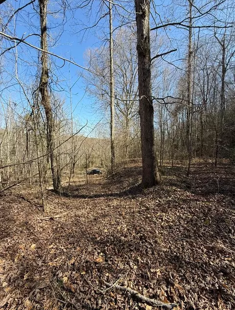 tbd Royal Oaks Trl, Brasstown, NC 28902