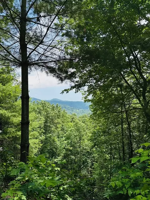 lot15 View Ridge Trl, Murphy, NC 28906 photo 8