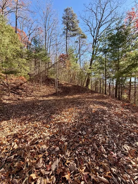 lot15 View Ridge Trl, Murphy, NC 28906 photo 3