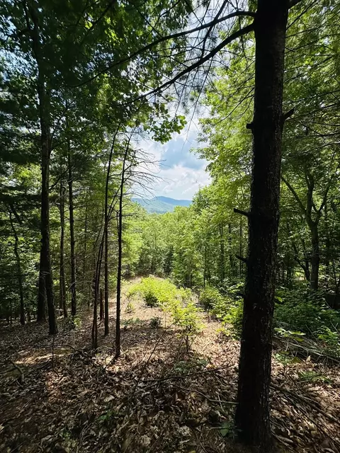 lot15 View Ridge Trl, Murphy, NC 28906 photo 6