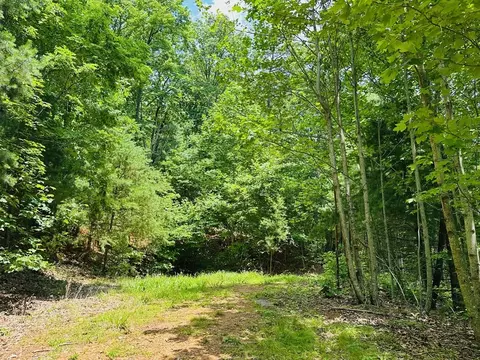 lot15 View Ridge Trl, Murphy, NC 28906 photo 9