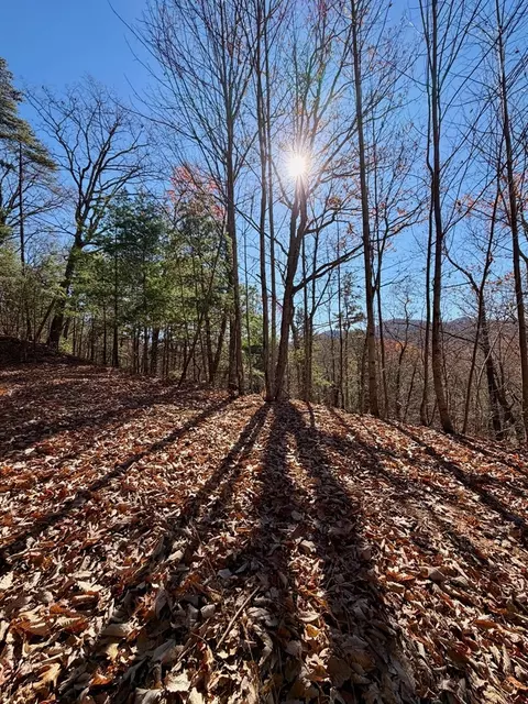 lot15 View Ridge Trl, Murphy, NC 28906 photo 2
