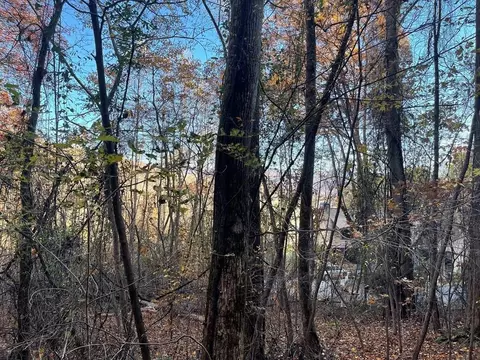 lot51 J Indian Trl, Hayesville, NC 28904