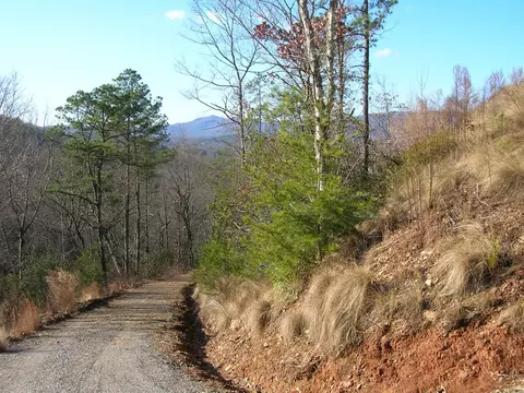 247 Rice Ln, Marble, NC 28905 photo 3