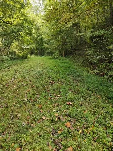0 Yellow Branch Sr 1241, Robbinsville, NC 28771
