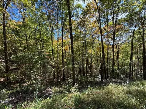 2 Lots Holly Ridge Rd, Nantahala, NC 28781