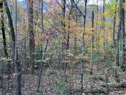 39 Hedden Stiles # A, Murphy, NC 28906 photo 2