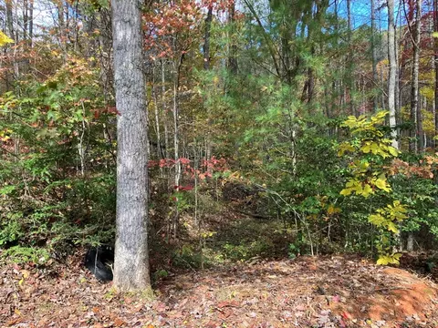 39 Hedden Stiles # A, Murphy, NC 28906 photo 12