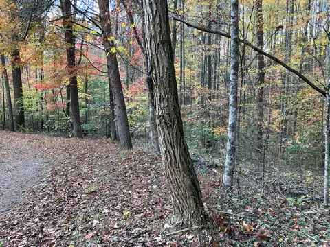 39 Hedden Stiles # A, Murphy, NC 28906 photo 8