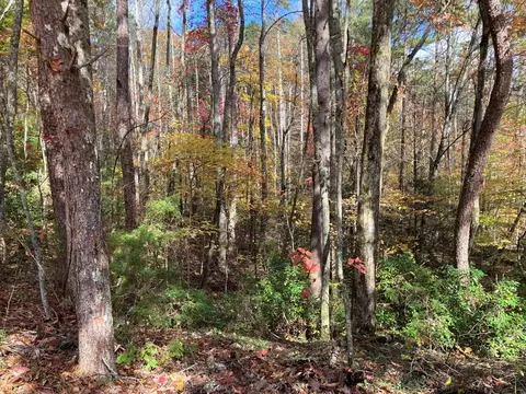 39 Hedden Stiles # A, Murphy, NC 28906 photo 13
