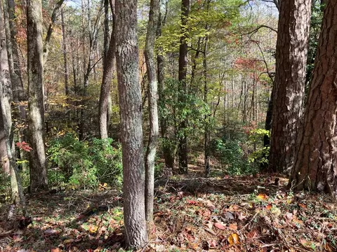 39 Hedden Stiles # A, Murphy, NC 28906 photo 14