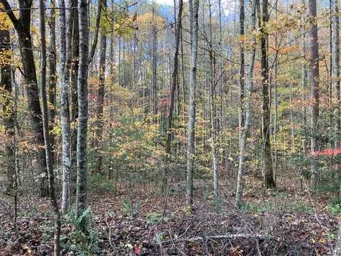 39 Hedden Stiles # A, Murphy, NC 28906 photo 9