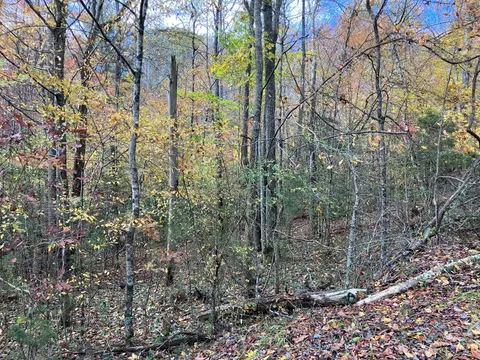 39 Hedden Stiles # A, Murphy, NC 28906 photo 3
