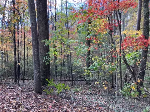 39 Hedden Stiles # A, Murphy, NC 28906 photo 5