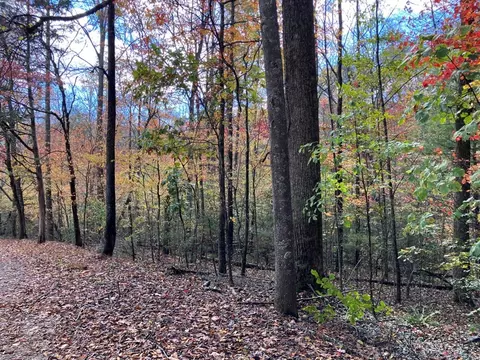 39 Hedden Stiles # A, Murphy, NC 28906 photo 4