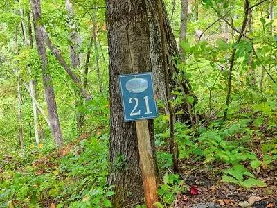 lot21 Skyview, Hayesville, NC 28904