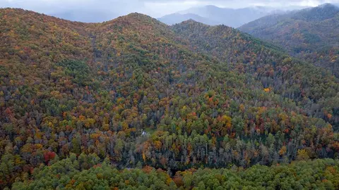 139 Land Iu Gap Rd, Robbinsville, NC 28771
