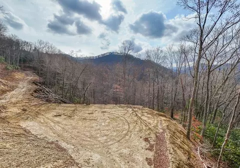 lot20 Walnut Cove Br, Robbinsville, NC 28771