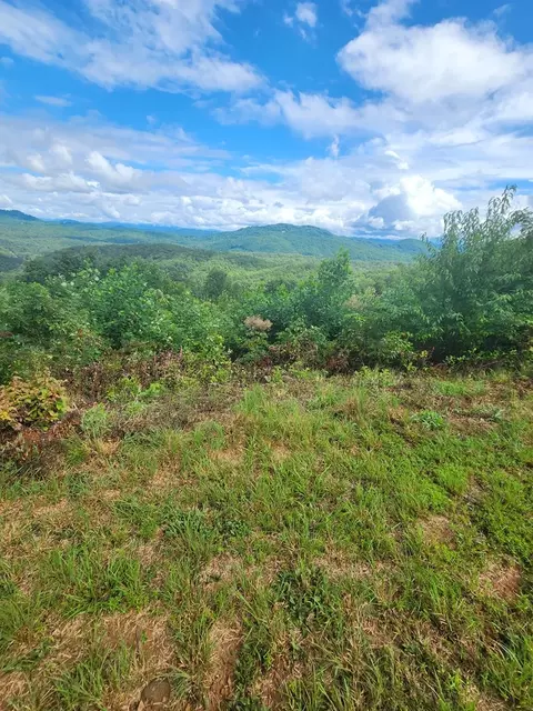 00 Soaring Eagle, Murphy, NC 28906 photo 9