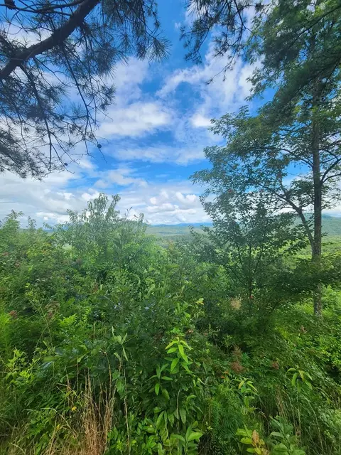 00 Soaring Eagle, Murphy, NC 28906 photo 7